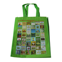 儋州LB11覆膜无纺布广告袋