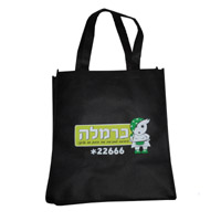 儋州KB02 无纺布购物袋